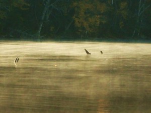misty_cranberry_lake_edited