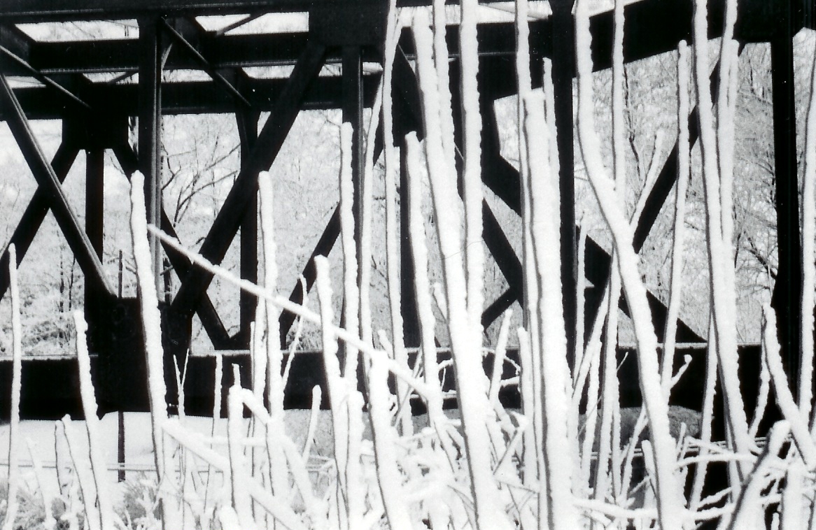 scan0004