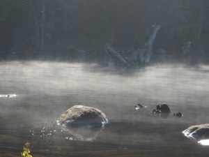 Misty morning on Cranberry Lake, New York
